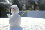 'Pig-cold': How to talk about the cold like a German