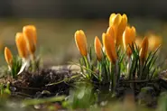 'False spring' arrives in Germany with temperatures up to 21C