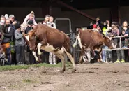 KEY POINTS: What changes about life in Denmark in April 2026