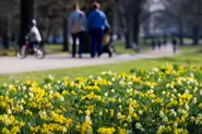 Six things you have to do in Cologne in the spring