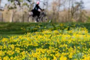 Germany jumps five places in world happiness rankings