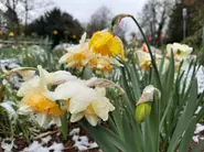 Inside Germany: Easter snowfall and protests against digital violence