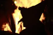 Walpurgisnacht: Meet seven of Germany's most famous witches