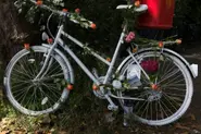 Germany sees sharp rise in cycling deaths