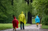 What will the weather be like in Germany over 'Father's day' weekend?