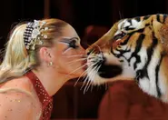 'Tiger Queen' under scrutiny after police kill big cat near Leipzig