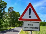 How to avoid a hairy seasonal health risk in Germany this summer