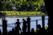 Where are the 330,000 new German citizens from?