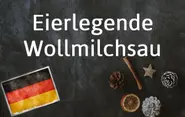 German phrase of the day: Eierlegende Wollmilchsau