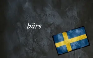 Swedish word of the day: bärs