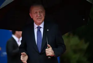 Swedish journalist freed from Turkey hails freedom