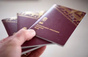 How the Swedish Migration Agency is putting oldest citizenship cases first