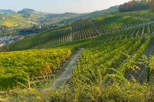 Where Italy's 'tourist trains' can take you this autumn