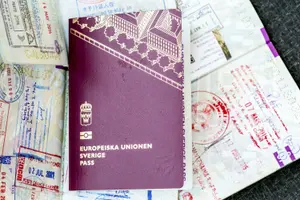 Migration Agency to process visas for family of Swedes abroad in 90 days