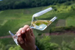 Eight German wines you have to try