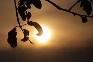 Is Germany's summer of extreme heat finally over?