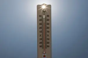 At least 14,000 heat-related deaths recorded in Germany this summer