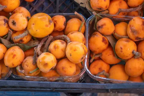 11 fruits and vegetables eaten in Spain that aren't common elsewhere