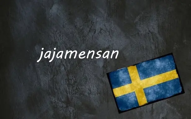 Swedish word of the day: jajamensan