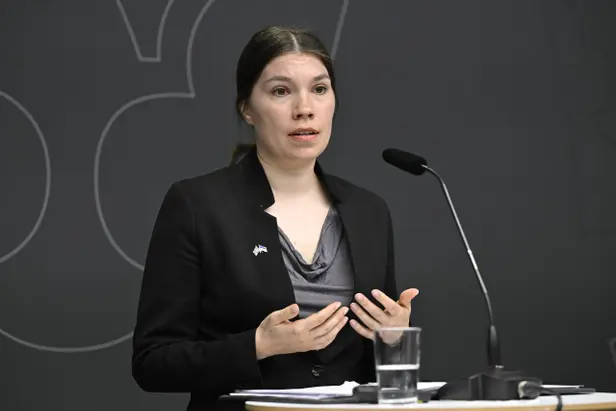 Swedish MP slams citizenship freeze as 'what the government wanted'