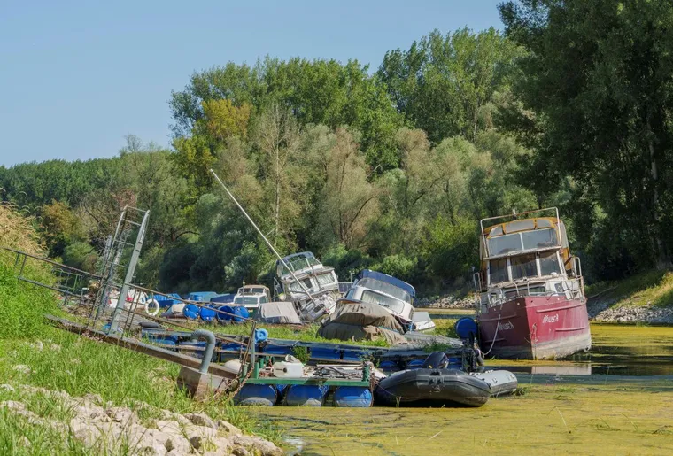 Germany lifts Sunday truck ban as low Rhine water disrupts inland freight