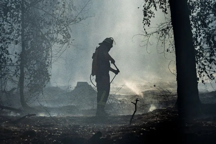 Multiple Woodland Fires in Hesse Prompt Road Closures and Water Restrictions