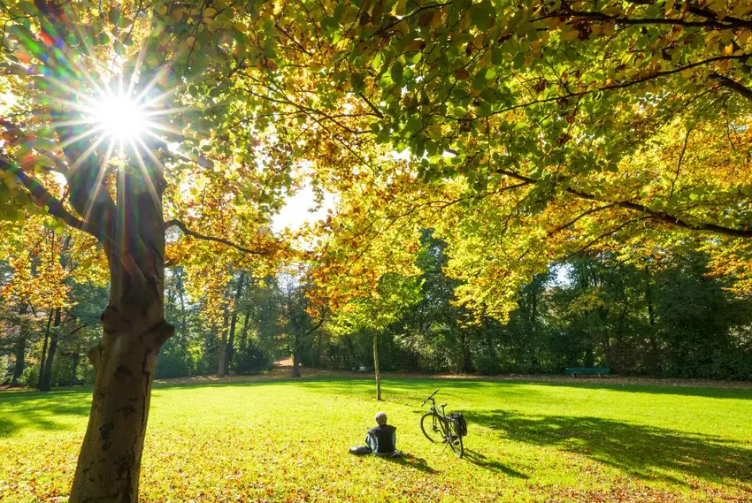 TELL US: Is Munich really the 'unfriendliest' city in Germany?