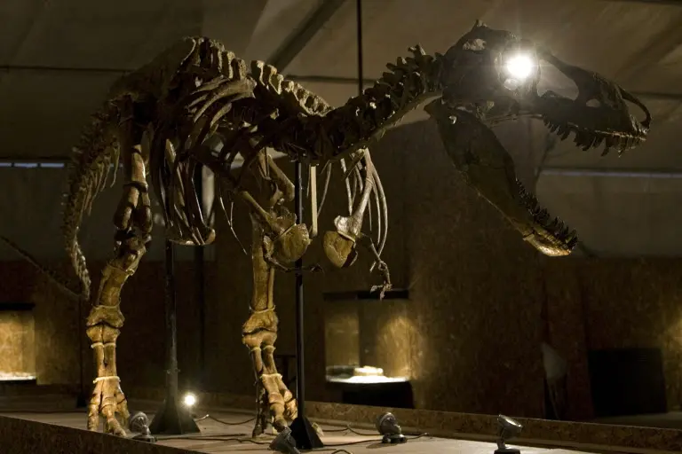 France to return smuggled dinosaur skeleton to Mongolia