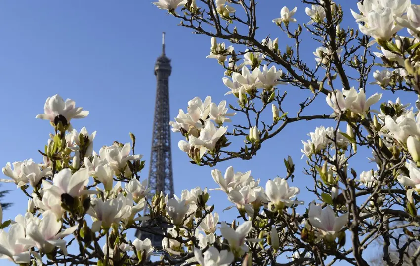 On the Agenda: What’s happening in France this week