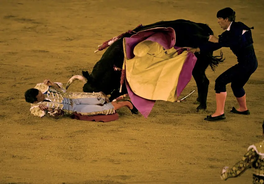 Inside Spain: It's hard to find a foreigner who supports bullfighting