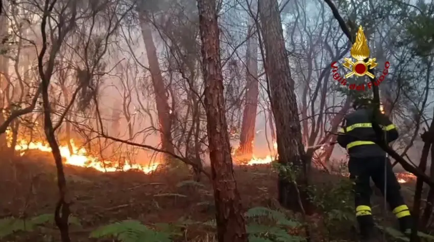 Thousands evacuated as Tuscany wildfire spreads