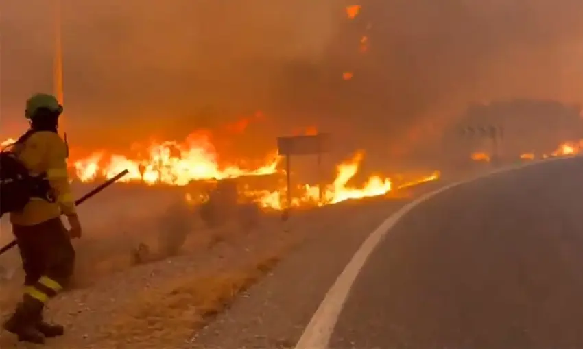 Devastating wildfire in Spain leaves at least 12 dead and 23 missing