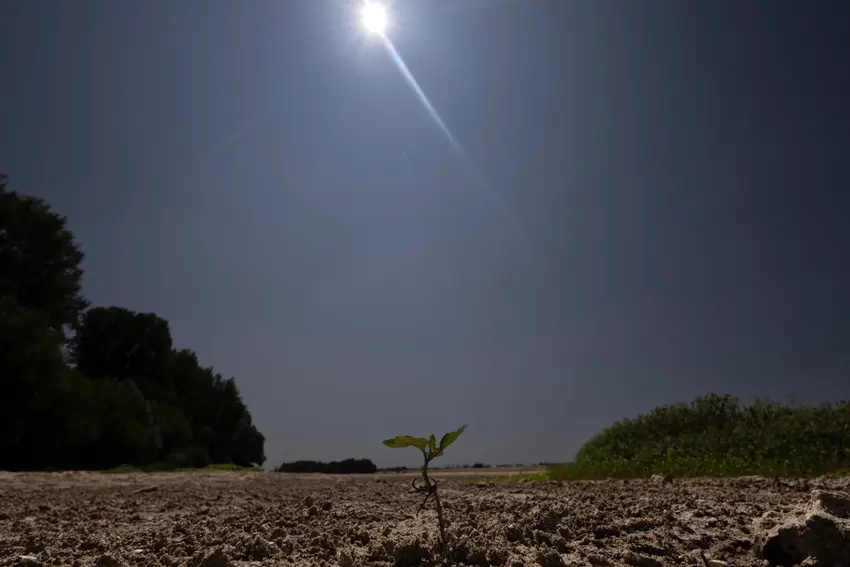 July was France's hottest month on record