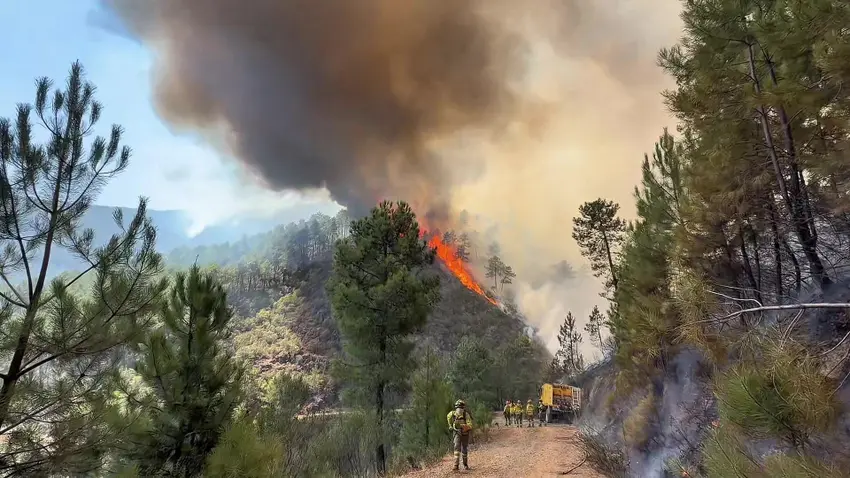 Spain wildfires burn 264,000 hectares, 80,000 less than last year